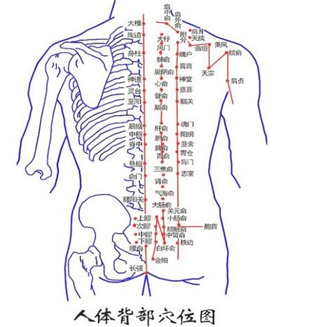 背上痣|背部有痣图解大全 背部有痣的人看命运